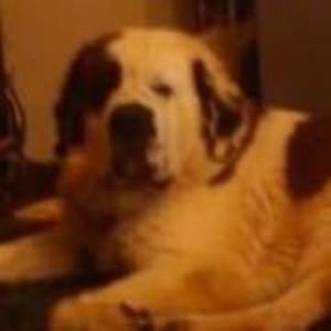 Meet your Posher, Sandy